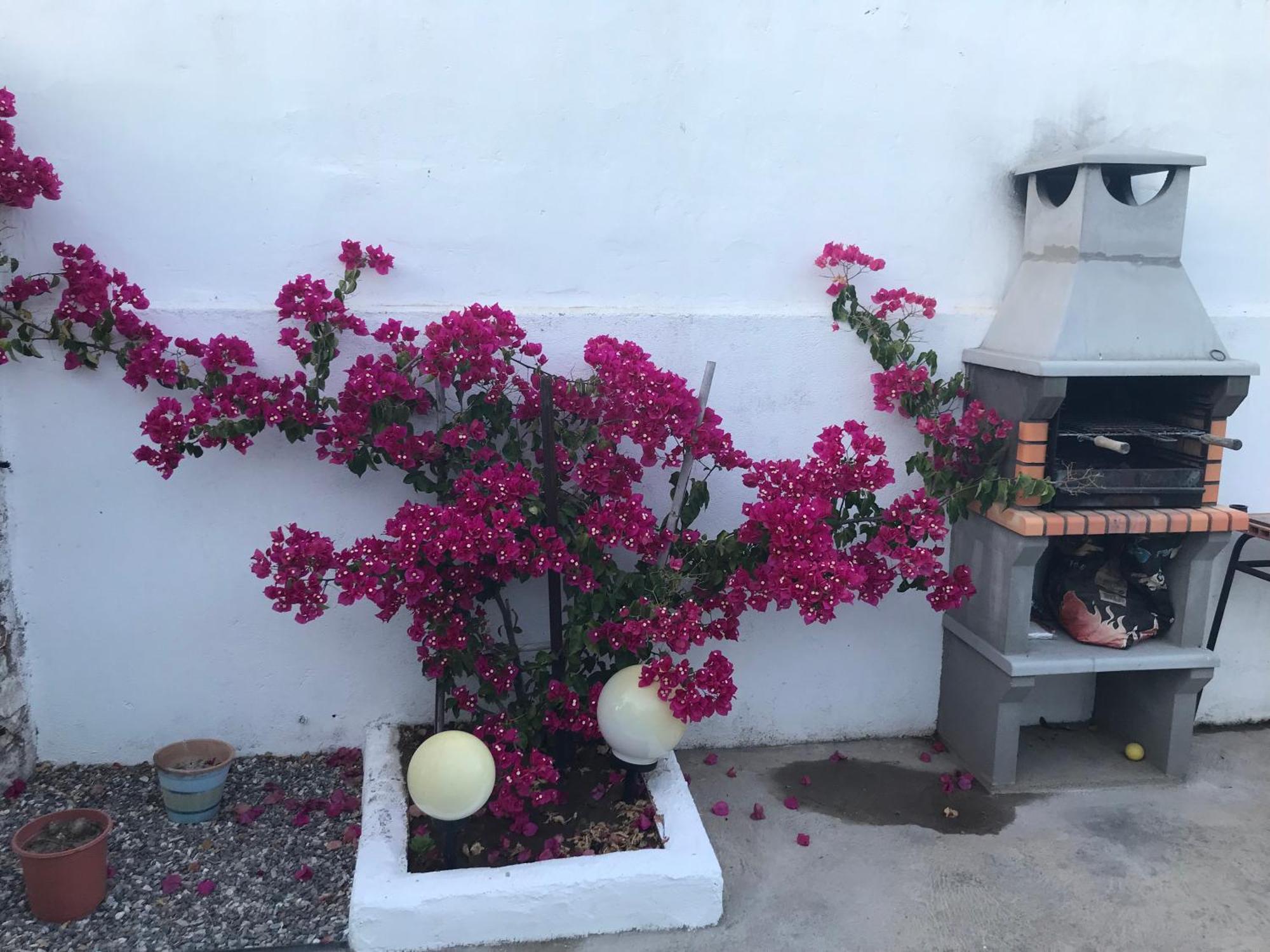 Appartement Casa Santo Antonio à Pias  Extérieur photo